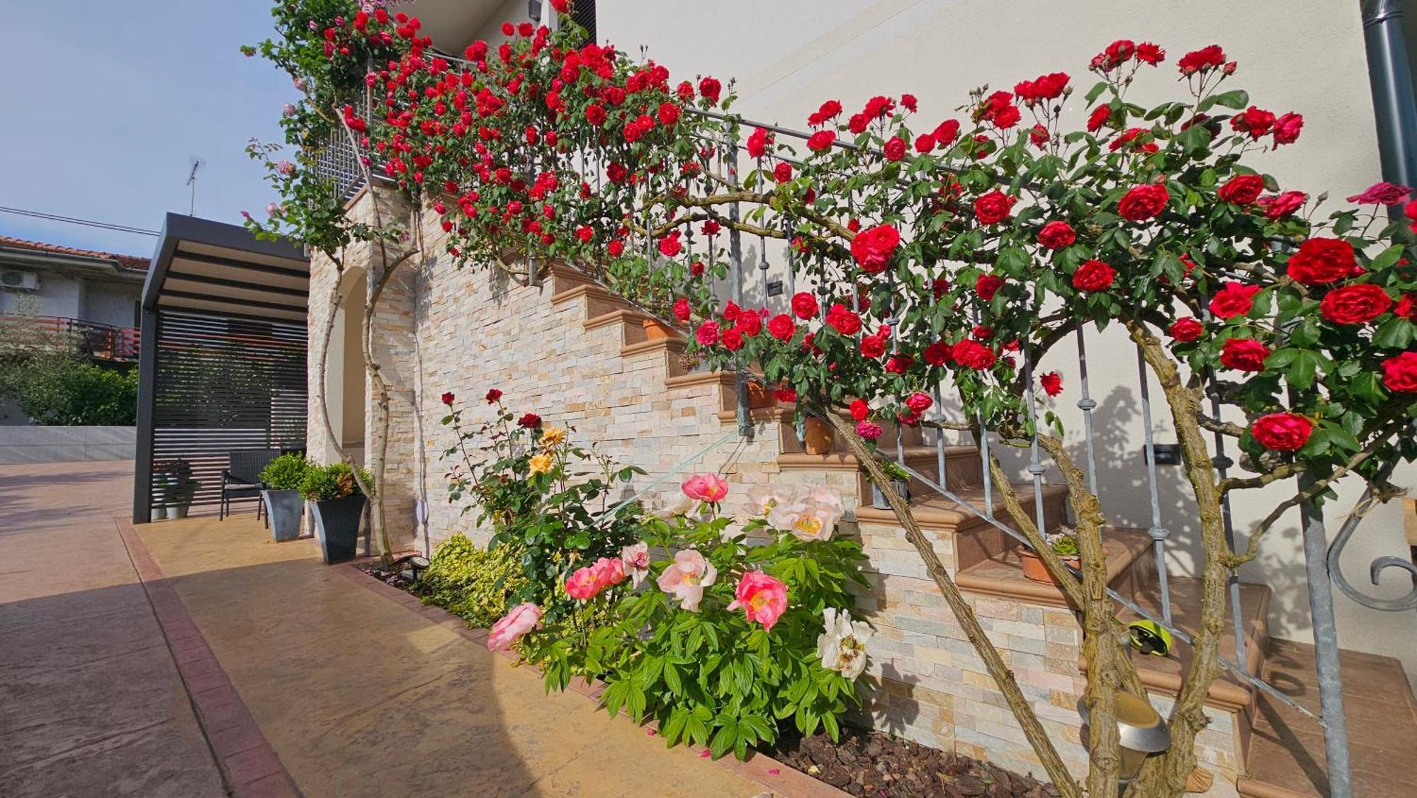 New Istrian Experience By Istrian Apartments Koper Luaran gambar